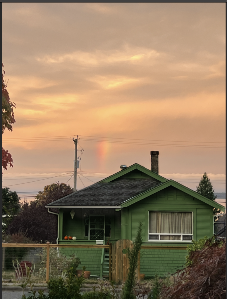 same photo with a richer green and darker roof